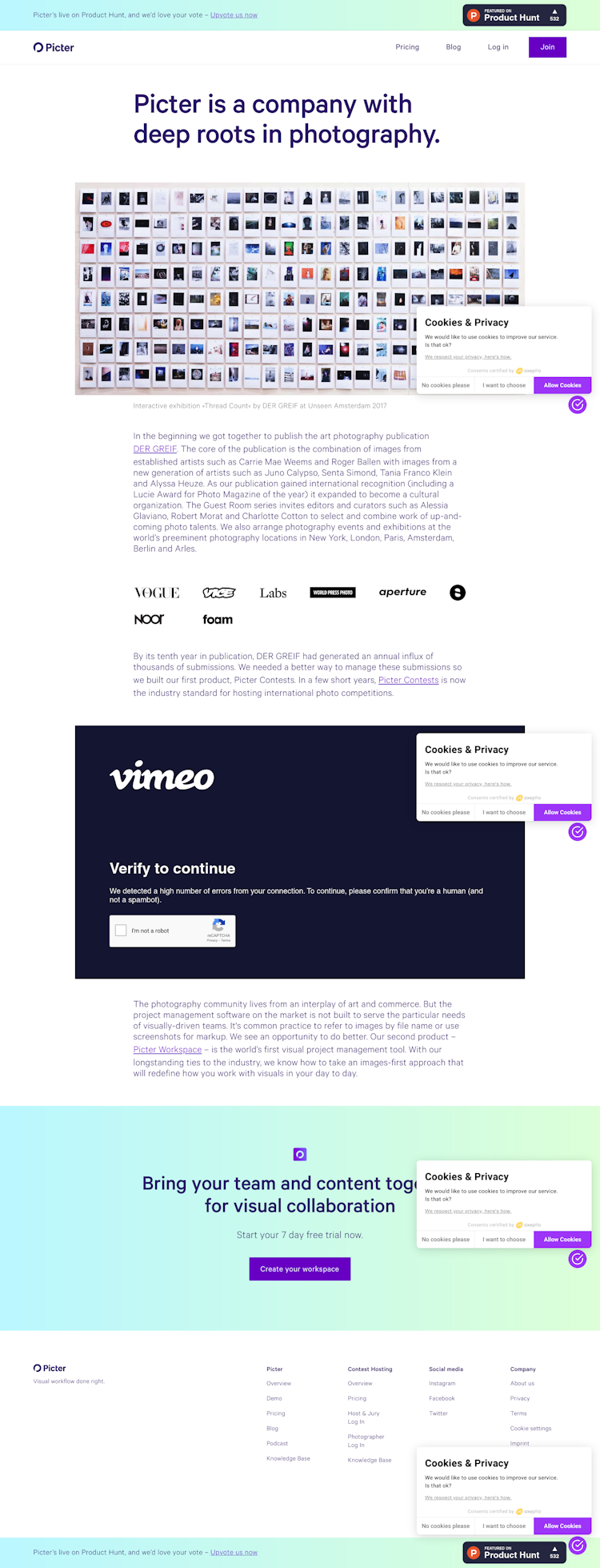 Picter About Us Page Design