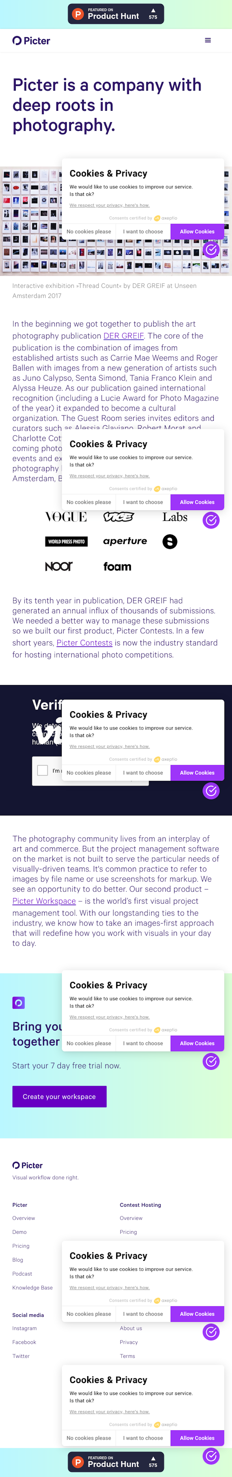 Picter About Us Page Design